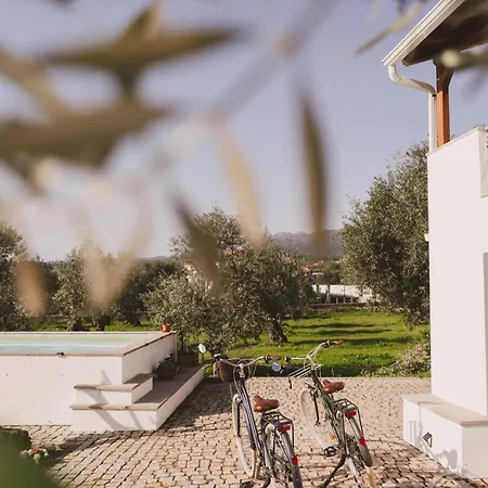 Chao Do Ribeirinho Atalaia do Campo