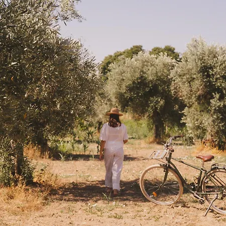 Chao Do Ribeirinho Сasa de vacaciones