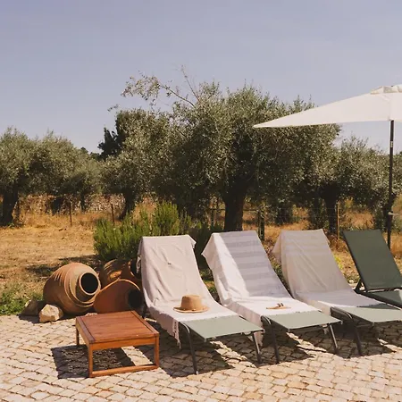 Chao Do Ribeirinho Atalaia do Campo