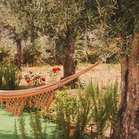 Chao Do Ribeirinho Atalaia do Campo