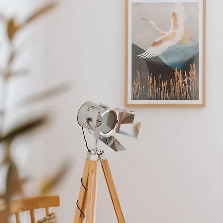 Chao Do Ribeirinho Дом отдыха Atalaia do Campo