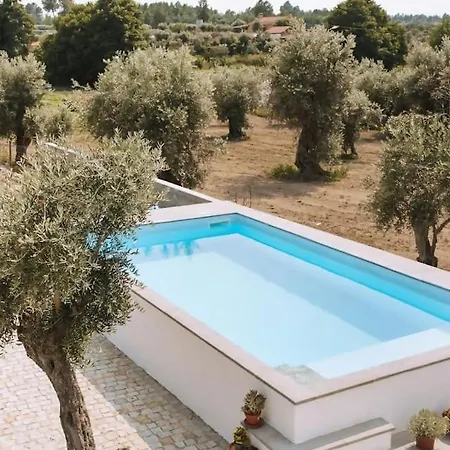 Dom wakacyjny Chao Do Ribeirinho