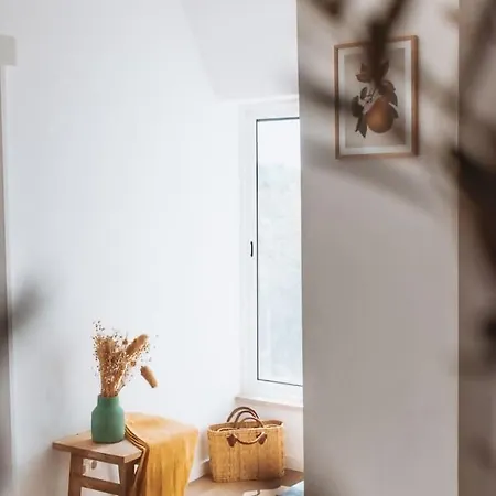 Chao Do Ribeirinho Atalaia do Campo