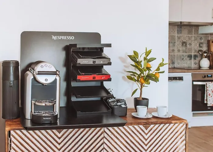 Chao Do Ribeirinho *